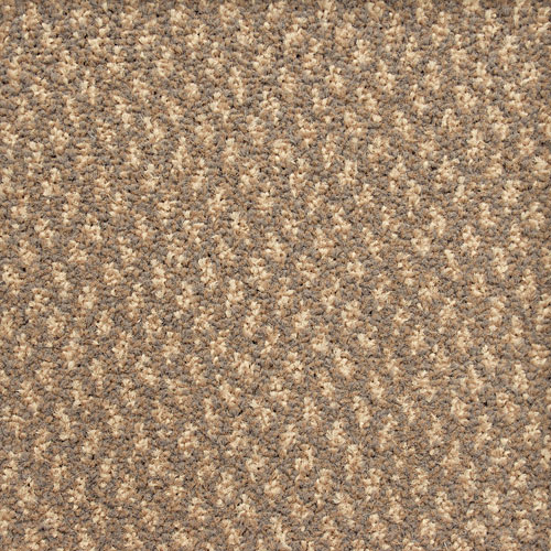 Genus Beachwood brown beige contract carpet tile impervious broadloom