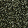 Forest-Fern-07124-(112px)