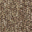 Oatmeal-03807-(112px)
