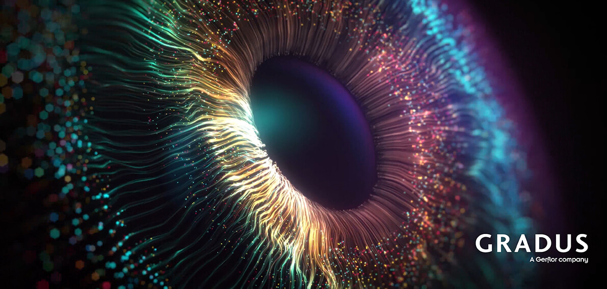 Eye