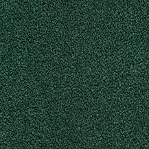 10cm x 10cm
