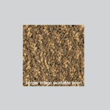 Genus Beachwood brown beige contract carpet tile impervious broadloom
