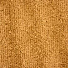 10cm x 10cm