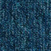 10cm x 10cm