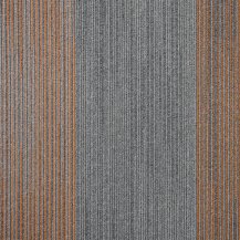 50cm x 50cm