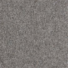 50cm x 50cm