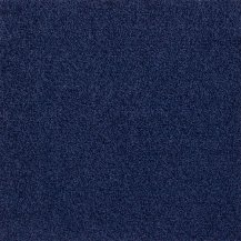 50cm x 50cm