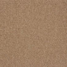 50cm x 50cm