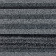 50cm x 50cm