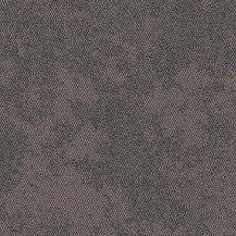 50cm x 50cm