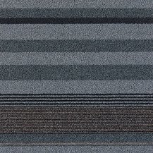 50cm x 50cm