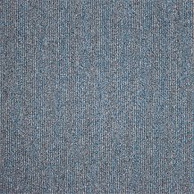 50cm x 50cm