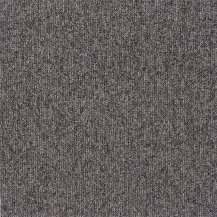50cm x 50cm