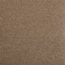 50cm x 50cm
