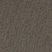 50cm x 50cm
