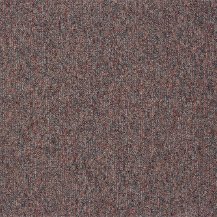 50cm x 50cm