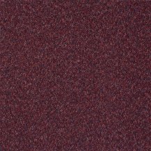 50cm x 50cm