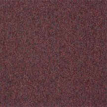 50cm x 50cm