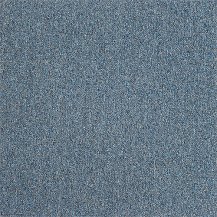50cm x 50cm