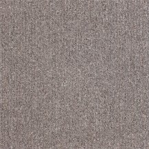 50cm x 50cm