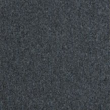 50cm x 50cm