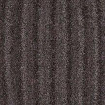 50cm x 50cm
