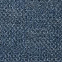 50cm x 50cm