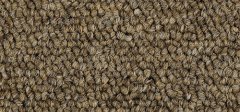 Barley 03816