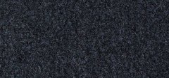 Jackdaw