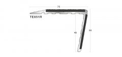 TEX51R