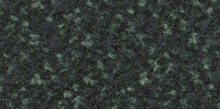 Spruce